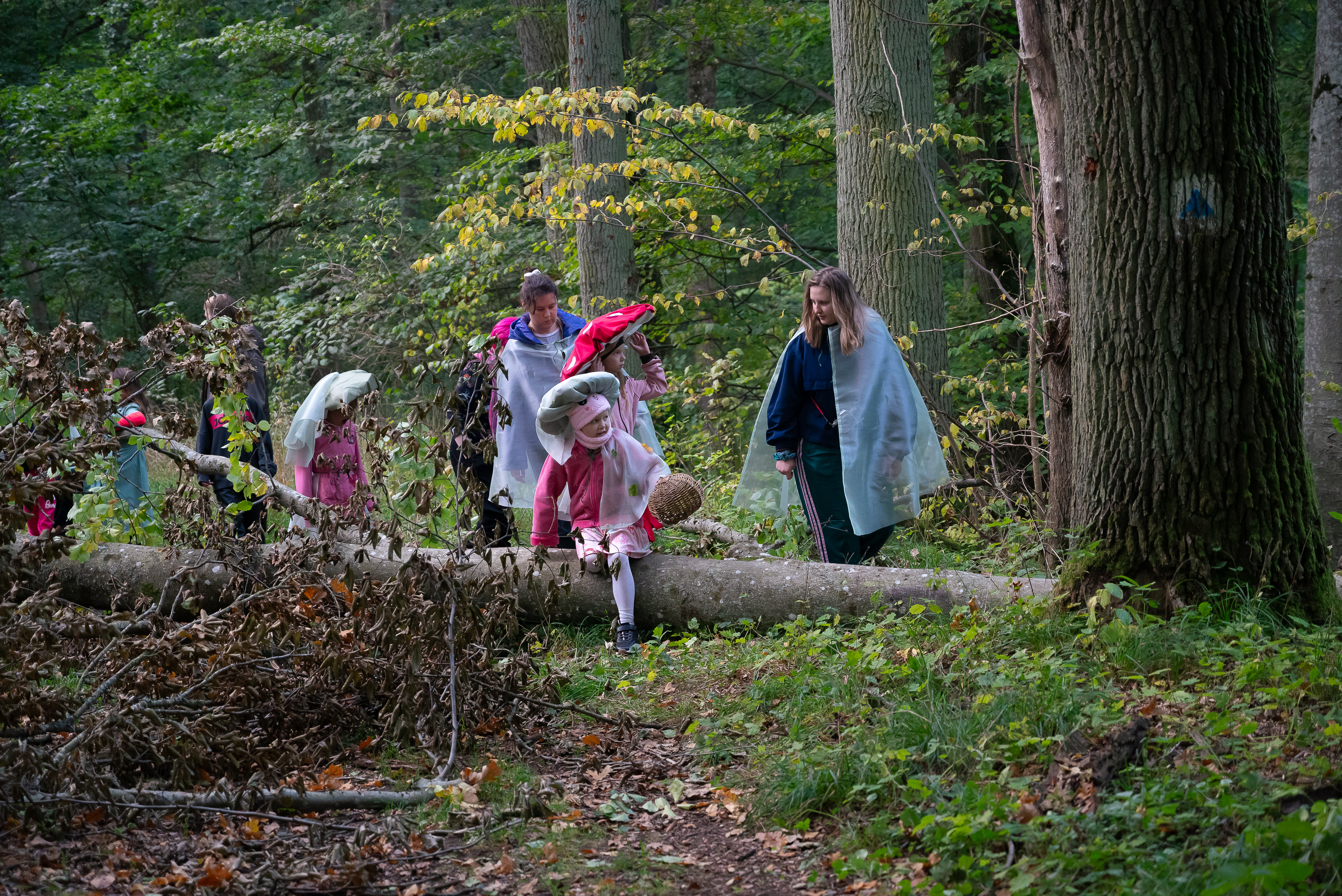 Międzynarodowy Festiwal Grzybów w Jankowie Pomorskim / Jak Współtworzyć Lepszy Świat?